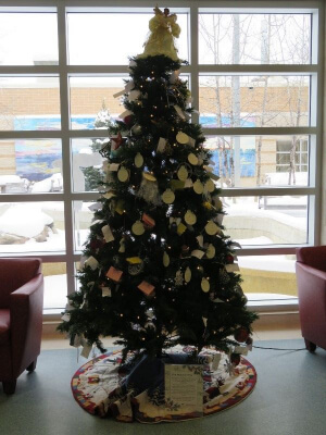 A photo of Christmas tree facing a glass window.