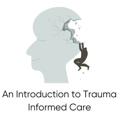 An Introduction to Trauma Informed Care